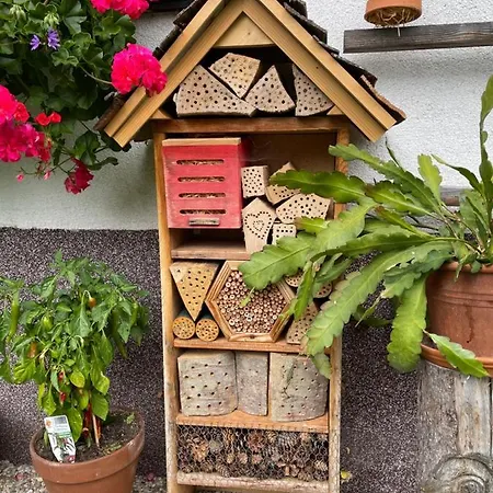 Apartment Sonnschein