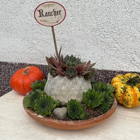 Sonnschein * Bad Mitterndorf