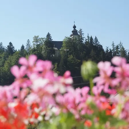 Sonnschein Appartamento Bad Mitterndorf