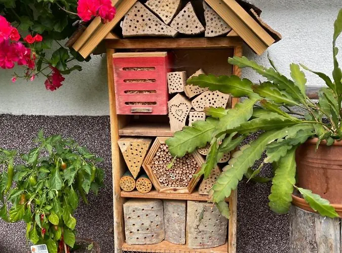 Апартаменты Sonnschein