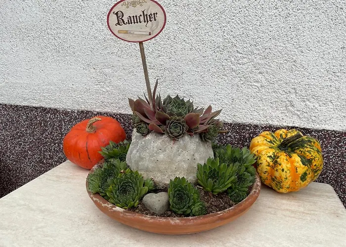 Sonnschein * Bad Mitterndorf