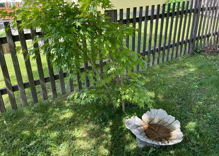 Апартаменты Sonnschein *