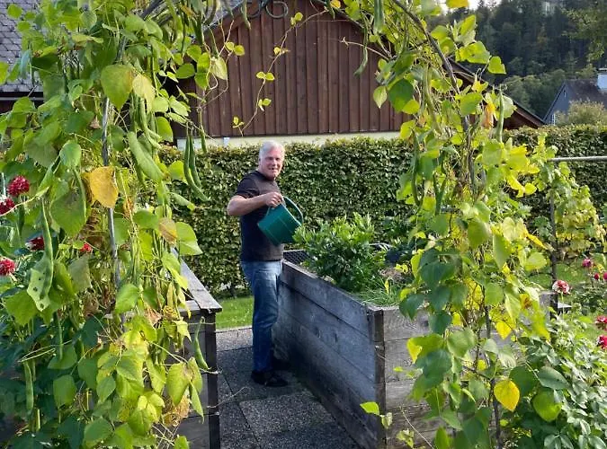 Apartment Sonnschein *