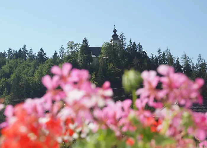 Sonnschein Apartment Bad Mitterndorf